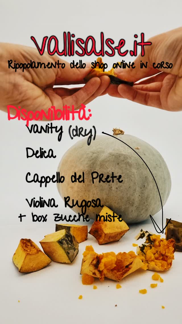 Le varietà di zucca disponibili nello shop