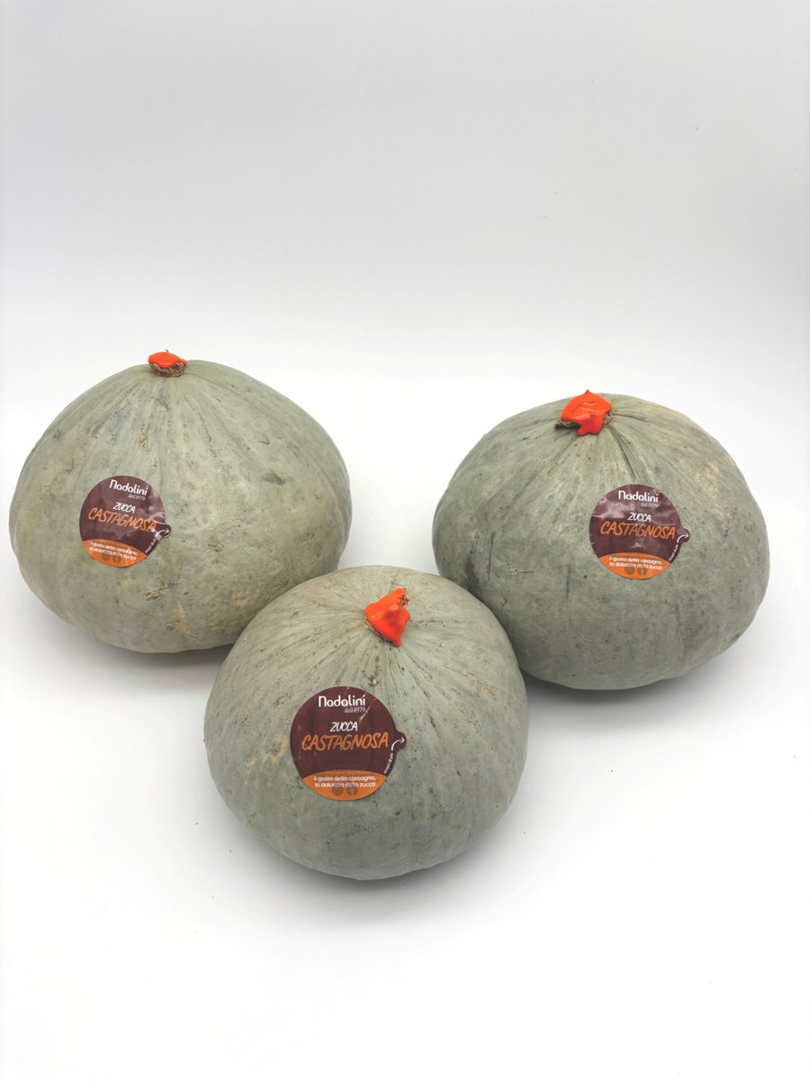 Zucca Vanity